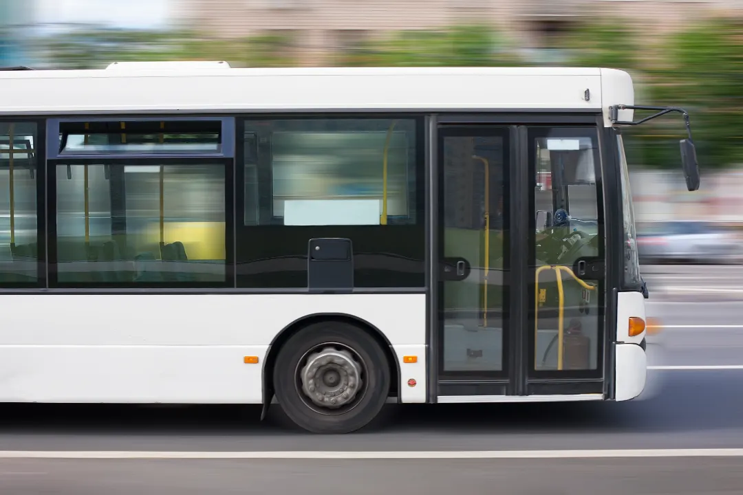 bus