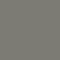 Dust Grey - Extra RAL 7037