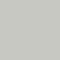 Light Grey - Extra RAL 7035