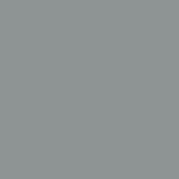 Silver - Standard RAL 7001