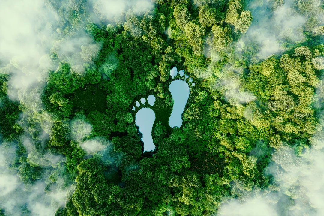 sustainability