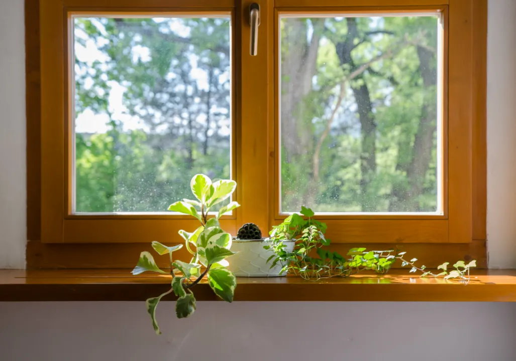 brown timber window